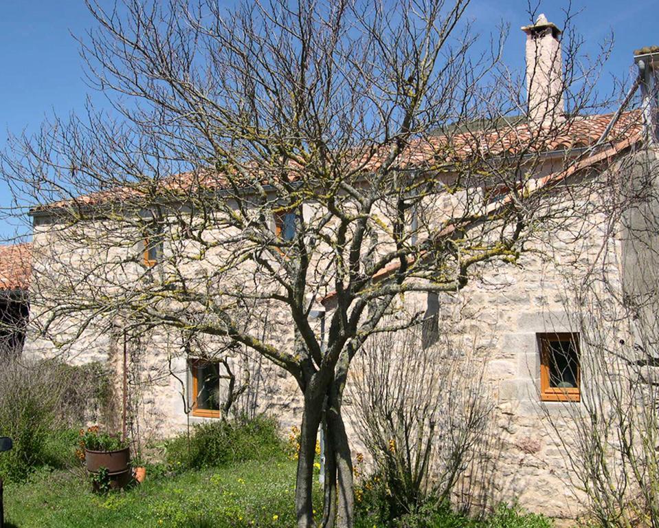 La Bergerie Bed & Breakfast Sainte-Eulalie-de-Cernon Bagian luar foto